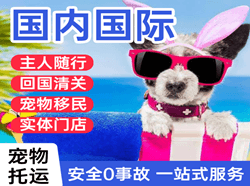 长海空运代理国际宠物托运 【国